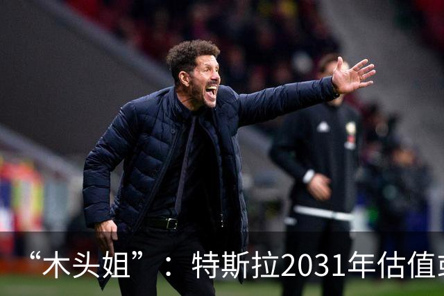 “木头姐”：特斯拉2031年估值或超20万亿美元，SpaceX与特斯拉或在5年内合并