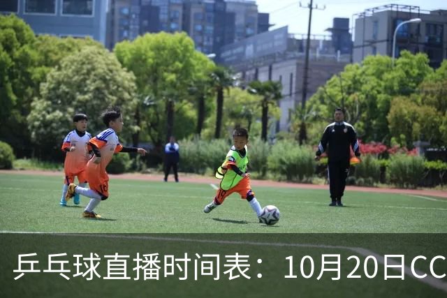 乒乓球直播时间表：10月20日CCTV5不直播国乒！国乒赛程出炉