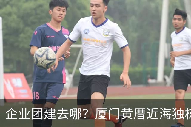 企业团建去哪？厦门黄厝近海独栋别墅实地体验