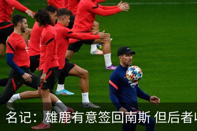 名记：雄鹿有意签回南斯 但后者收到多支争冠球队的双向合同意向