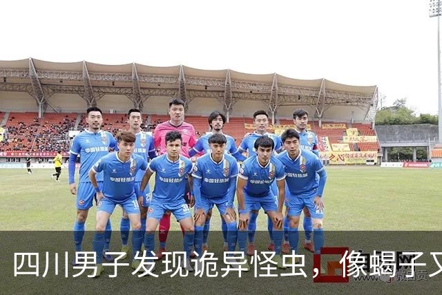 四川男子发现诡异怪虫，像蝎子又像蜘蛛！网友：20年没见过了！