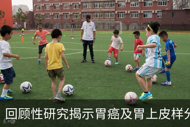 回顾性研究揭示胃癌及胃上皮样分化肿瘤中Claudin 18.2的表达水平