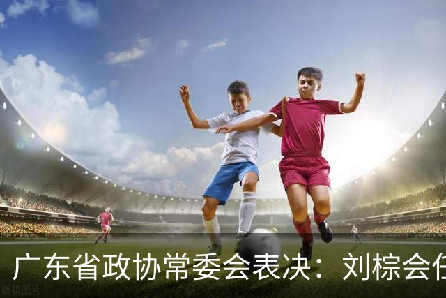 广东省政协常委会表决：刘棕会任副秘书长