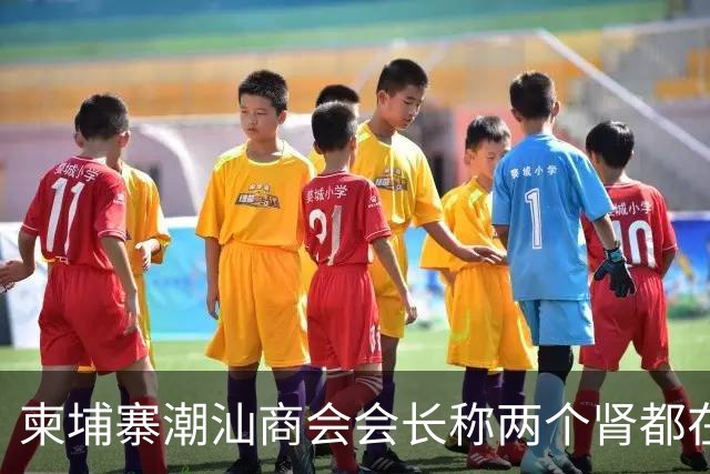 柬埔寨潮汕商会会长称两个肾都在！