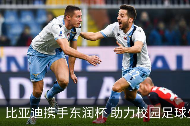 比亚迪携手东润杯 助力校园足球少年圆梦工体