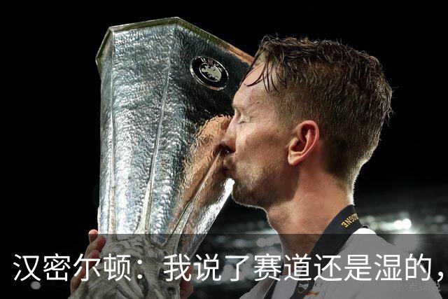汉密尔顿：我说了赛道还是湿的，法拉利却给我换了干胎