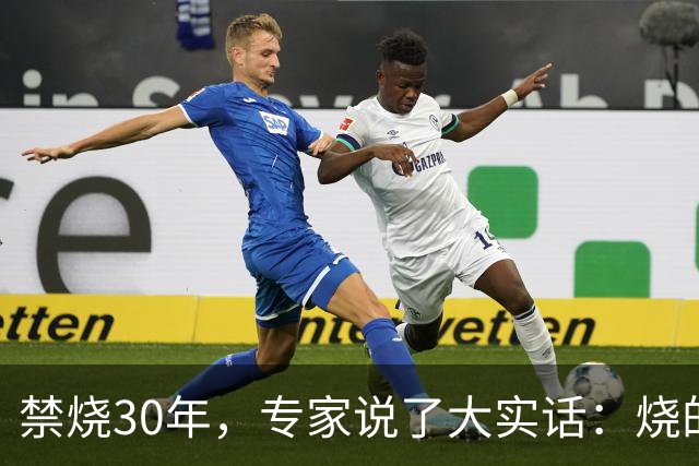 禁烧30年，专家说了大实话：烧的不是秸秆，是农村没啥人了！