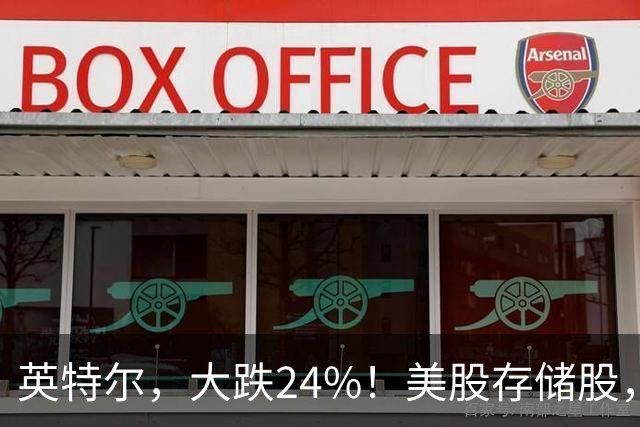英特尔，大跌24%！美股存储股，集体下挫