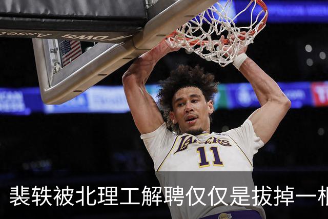 裴轶被北理工解聘仅仅是拔掉一根毒草，高校文科打拳女教授的脏土还有待强力净化
