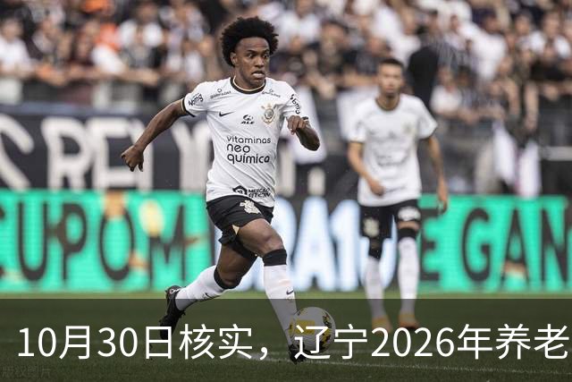 10月30日核实，辽宁2026年养老金调整通知，今天正式已发布了吗？