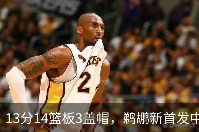 13分14篮板3盖帽，鹈鹕新首发中锋首秀交出两双